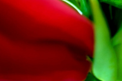 Farbraeume_rot-gruen_web