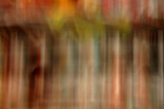 Curtain of books