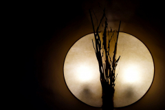 Full moon rising
