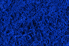 Kindofblue