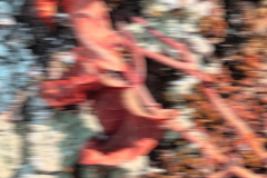 Baum-Camouflage