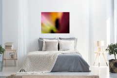 Showroom-Farbraeume